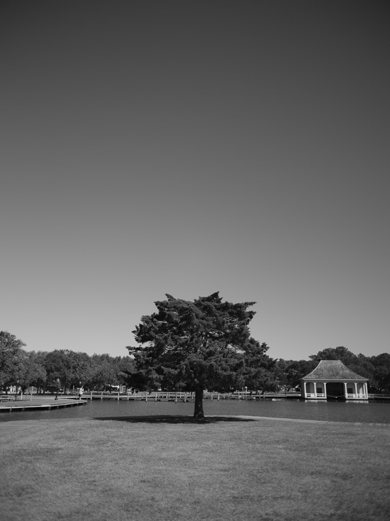 Black-and-white view of a single tree on a lawn beside calm water and a small boathouse.